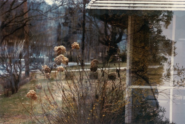 Amy Jackson hydrangeadexp ok mag.