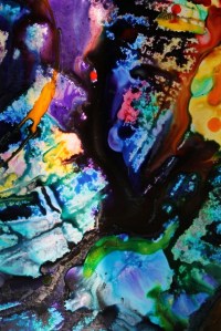 Vanessa Aves image 4.jpg ok