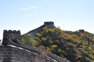 Robert Goldston DSC_0544 (2)