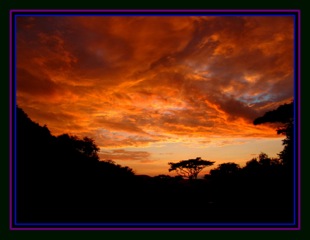 Marv L. Roussan Morning in Africa Africa-Swaziland 088