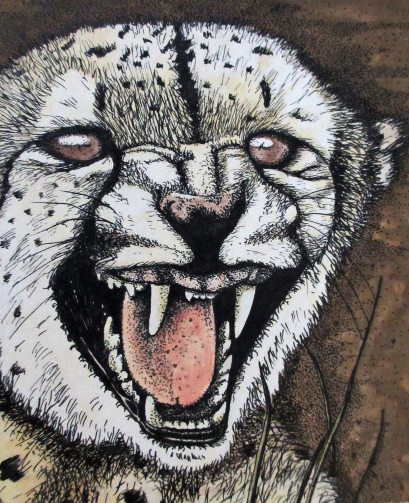 Stephanie H. Cheetah - younger years