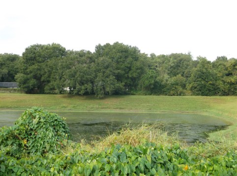 James McCarthy neighborhood photo 2  Autumn Spirits IV etc  Oct 23 2013 030 (2)