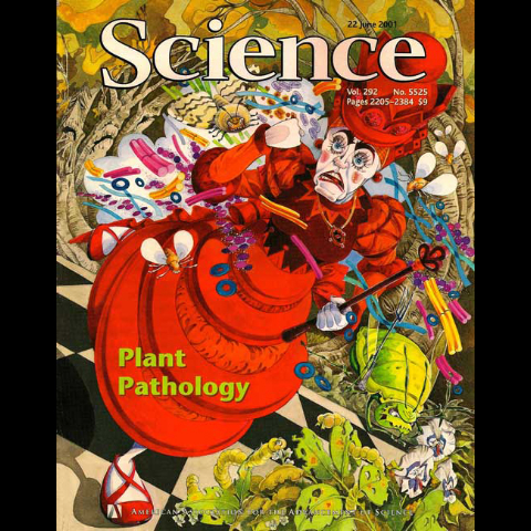 David Galchutt cc-10 (2)