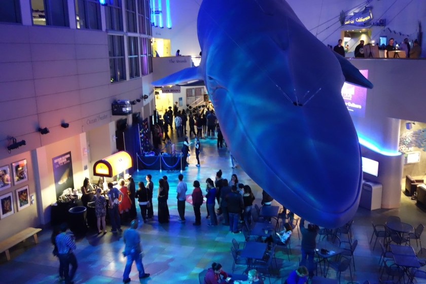 Jennifer  Photo 12 (2)