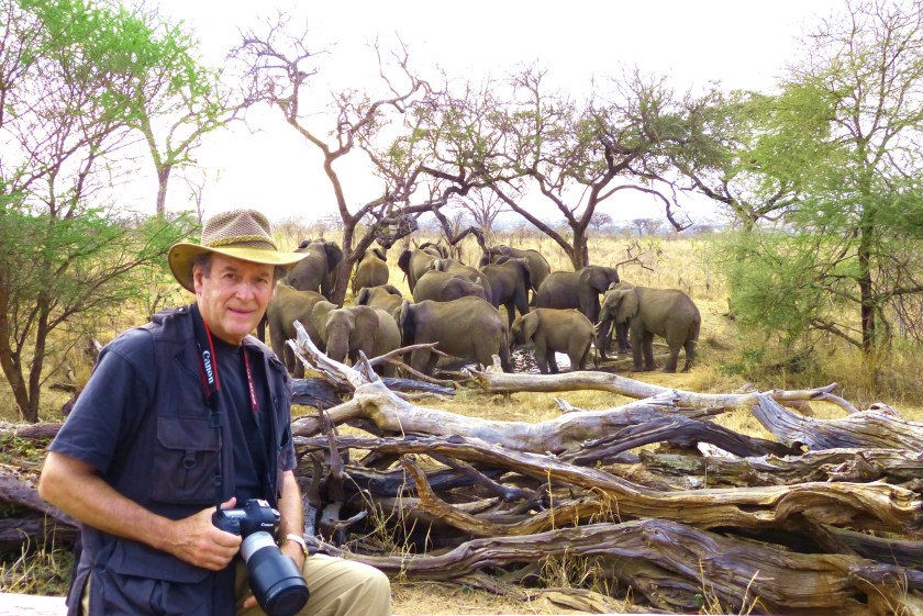 H. Allen Benowitz Tree Tops Bush Camp Serengeti Tanzania AF L1040344