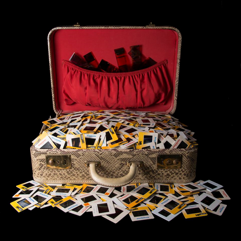 Shoebox PR photo. ellen cantor png