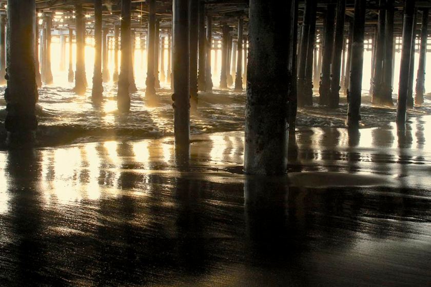 annenberg-maureen-haldeman