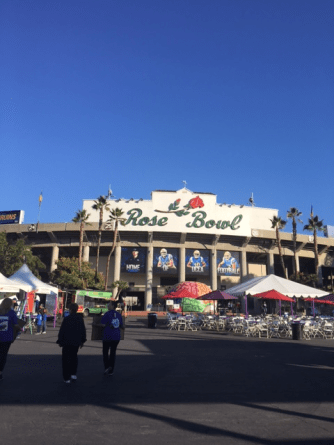 artquench-magazine-epilepsy-article-rose-bowl-image