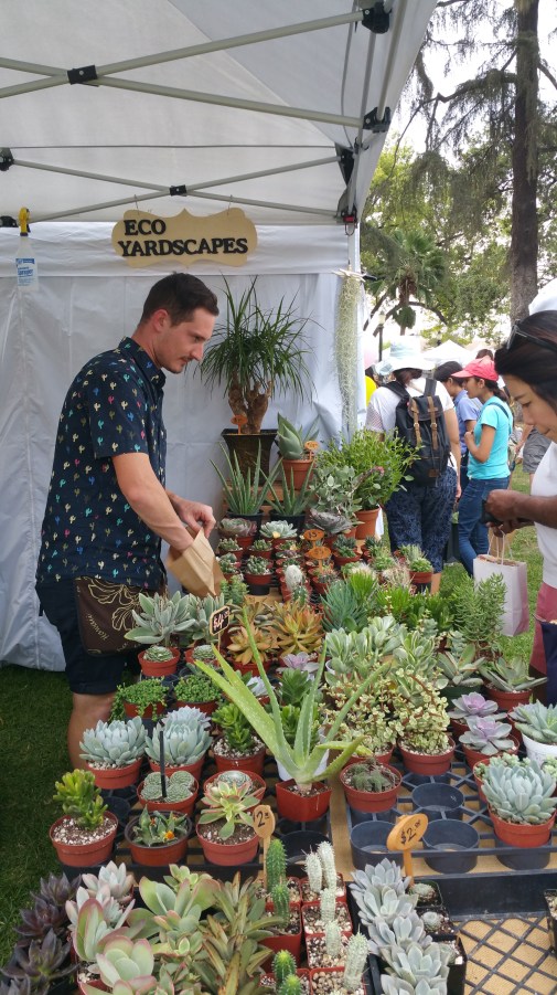 jackalope-ecoyardscapes-01