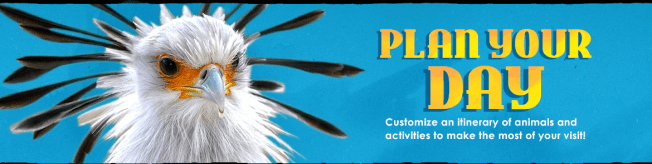 san-diego-zoo-safari-park-02